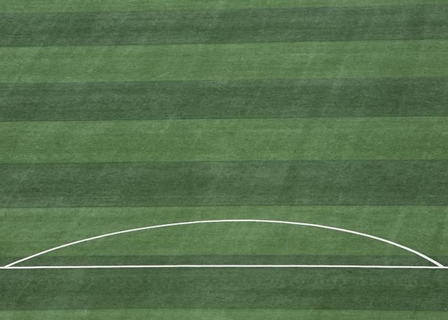 齐祖米体专访：戛纳之子、尤文传奇&永远的艺术家