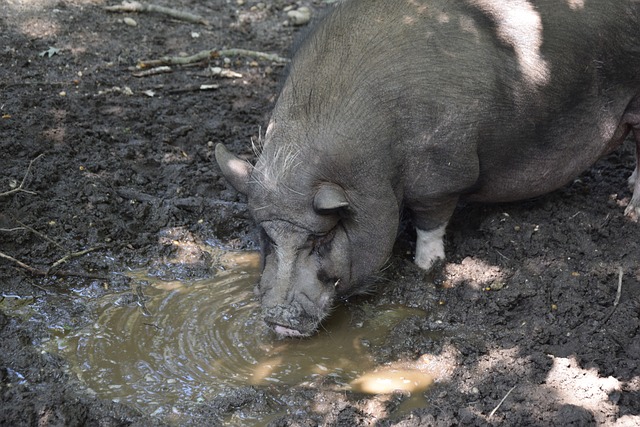 个篮板和 个篮板和