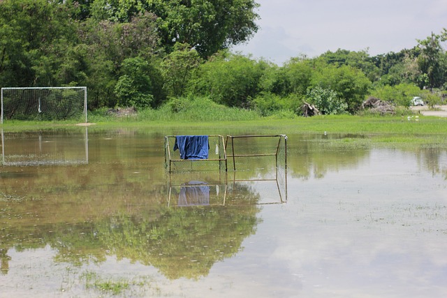 这场灯光秀 这场灯光秀