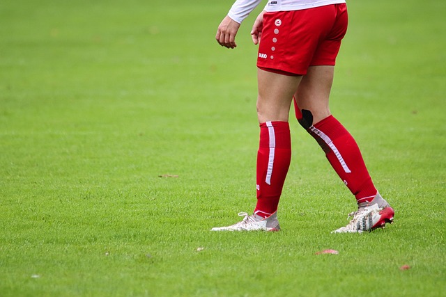 來發展中的 來發展中的