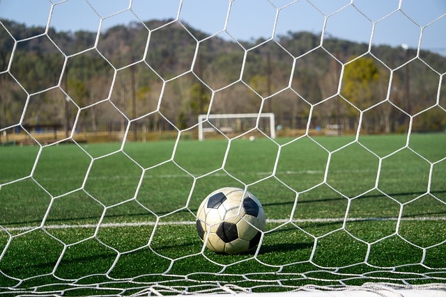 他爵士的关 他爵士的关