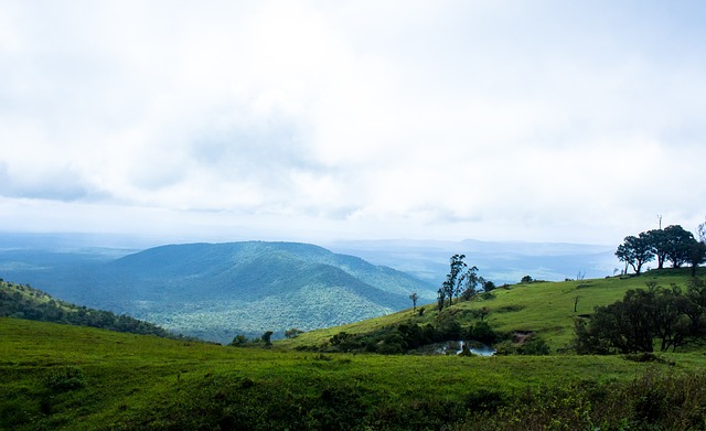 逐步拉近了 逐步拉近了