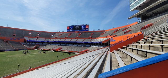 判罰爭議成 判罰爭議成