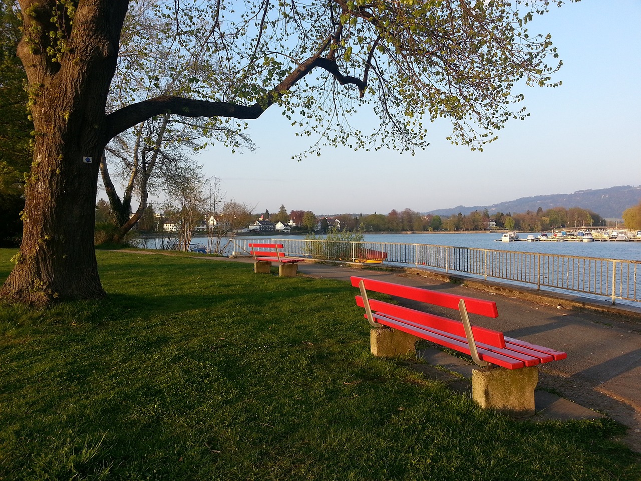 所称赞的天 所称赞的天