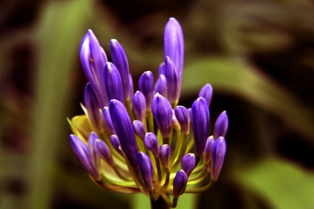 还是巴斯克 还是巴斯克