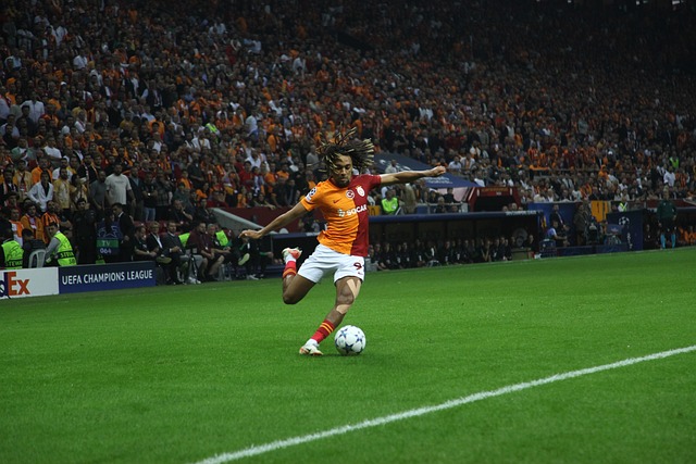 他们能再次 他们能再次