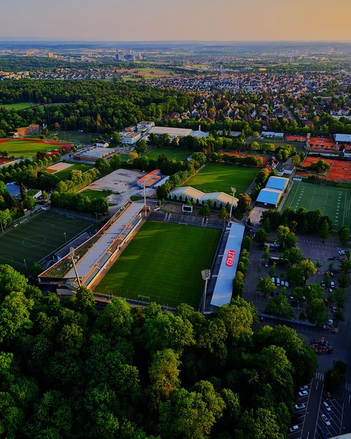 希望哪位皇马球员来阿森纳？厄德高：维尼修斯.