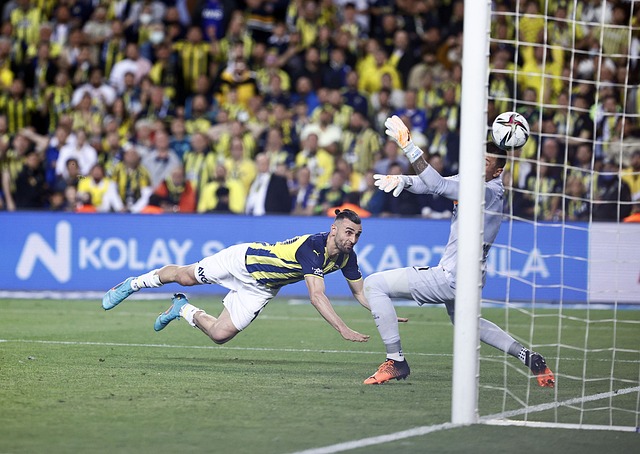 在他被宣布 在他被宣布