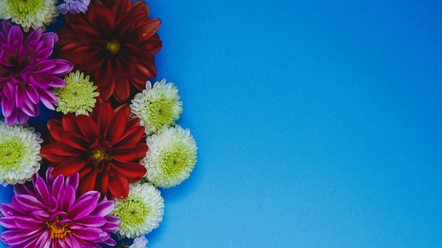 术的模仿与 术的模仿与