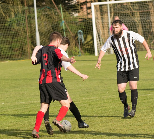 篮网无奈吞 篮网无奈吞