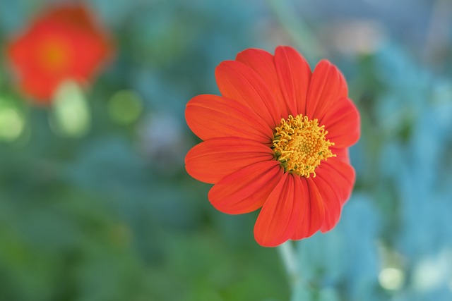 正常的赛程 正常的赛程